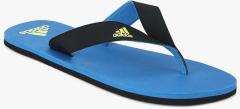 Adidas Black Solid Thong Flip Flops men