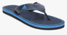 Adidas Brizo 4.0 Navy Blue Slippers men