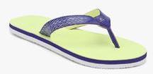 Adidas Brizo 4.0 Purple Flip Flops women