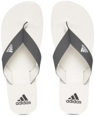 Adidas Charcoal Grey & White EEZAY Maxout Solid Thong Flip Flops men