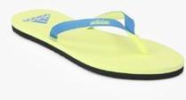 Adidas Eezay Max Out Blue Flip Flops women