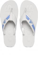 Adidas Grey & Blue SLALON 2018 Thong Flip Flops men