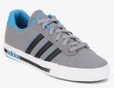 Adidas Neo Daily Team Grey Sneakers Men