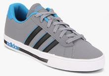 Adidas Neo Daily Team Grey Sneakers men