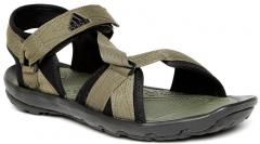 Adidas Olive Green Terra 19 Sports Sandals men