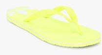 Adidas Originals Adisun Green Flip Flops women