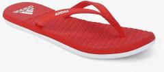 Adidas Pink Flip Flops women