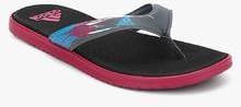 Adidas Sc Beach Black Flip Flops women