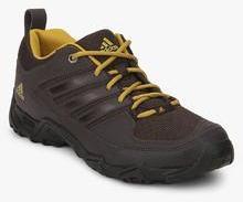 Adidas Xaphan Low Brown Outdoor Shoes men