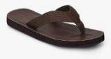 Aeropostale Grayland Brown Slippers men