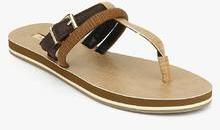 Aldo Lovea Brown Sandals women