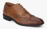 Allen Solly Brown Oxford Brogue Formal Shoes men