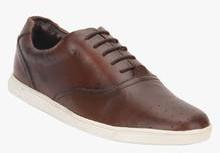 Arden Brown Sneakers men