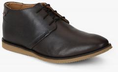 Arrow Alberto Brown Derby Formal Shoes men