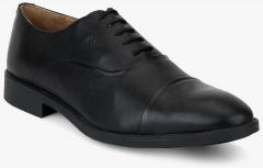 Arrow Black Solid Oxfords men