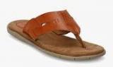 Arrow Bothel Tan Slippers men