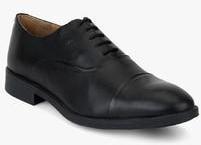 Arrow Elko Black Oxford Formal Shoes men