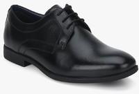 Arrow Hobbs Black Derby Formal Shoes men