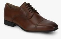 Arrow Kelso Brown Derby Formal Shoes men