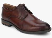 Arrow Madison Browm Derby Formal Shoes men