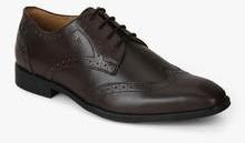 Arrow Tiago Brown Brogue Derby Formal Shoes men