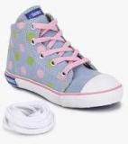 Beanz Carol Sneakers Blue Sneakers girls