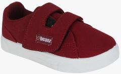 Beanz Maroon Canvas Regular Sneakers boys