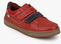 Beanz Maroon Sneakers boys