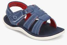 Beanz Meadow Sandal Blue Sandals boys