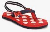 Beanz Pearls Navy Blue Flip Flops boys