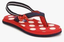 Beanz Pearls Navy Blue Flip Flops boys