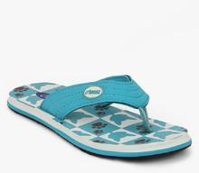 Beanz Splash Cat Blue Flip Flops boys