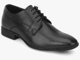 Blackberrys Black Derby Formal Shoes Men