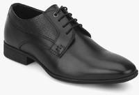 Blackberrys Black Derby Formal Shoes men