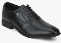 Blackberrys Black Oxford Formal Shoes men