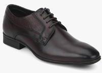 Blackberrys Brown Derby Formal Shoes men