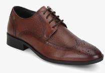 Blackberrys Tan Derby Brogue Formal Shoes men