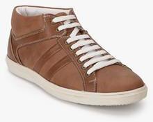 Buckaroo Blaas Brown Sneakers men