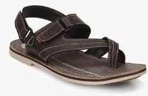 Buckaroo Rios Brown Sandals men