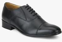 Carlton London Black Oxford Formal Shoes men