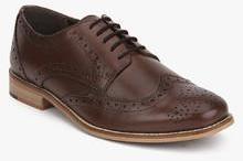 Carlton London Coffee Brogue Formal Shoes men