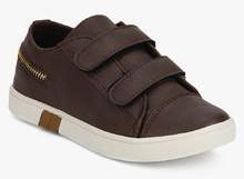 Carlton London Coffee Sneakers boys