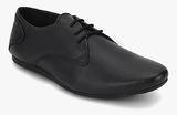 Carlton London Derby Black Derby Formal Shoes men