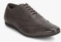 Carlton London Grey Brogue Lifestyle Shoes men