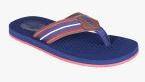 Clarks Blue Flip Flops Men