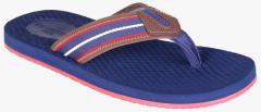 Clarks Blue Flip Flops men