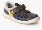 Clarks Brown Sandals Boys