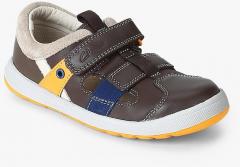 Clarks Brown Sandals boys