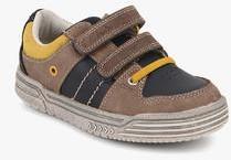 Clarks Chad Skate Brown Sneakers boys