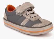 Clarks Little Alf Grey Sneakers boys